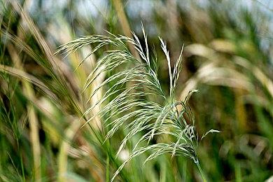 专业到位！《怪物猎人：荒野》性感NPC Gemma Cosplay